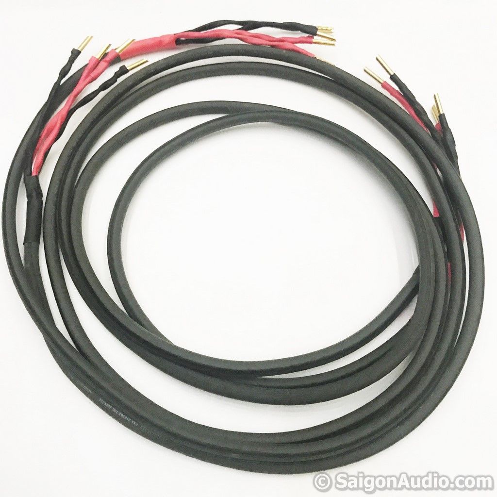 Dây loa Audioquest Type 8 Bi-Wire | 2m, 2m4 x 2