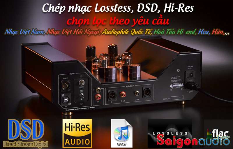 Chép nhạc lossless hi-res DSD - WAV - FLAC - APE đầy đủ các chủ đề, thể loại