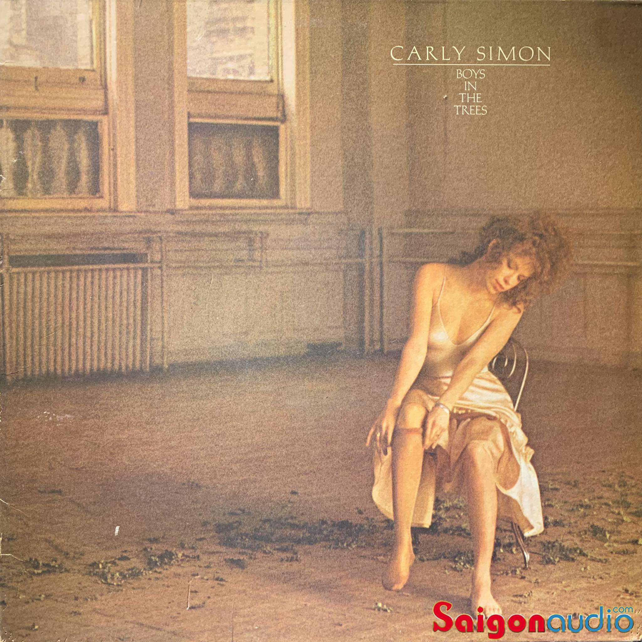 Đĩa than Carly Simon – Boys In The Trees | LP Vinyl Records